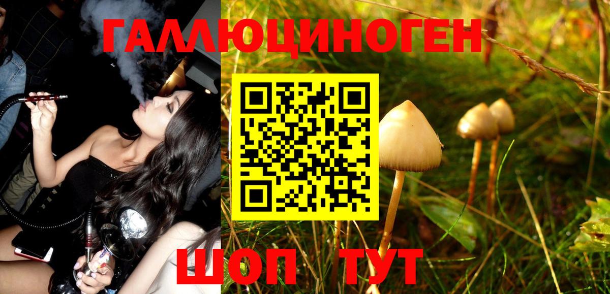 Галлюциногенные грибы Magic Shrooms Хасавюрт