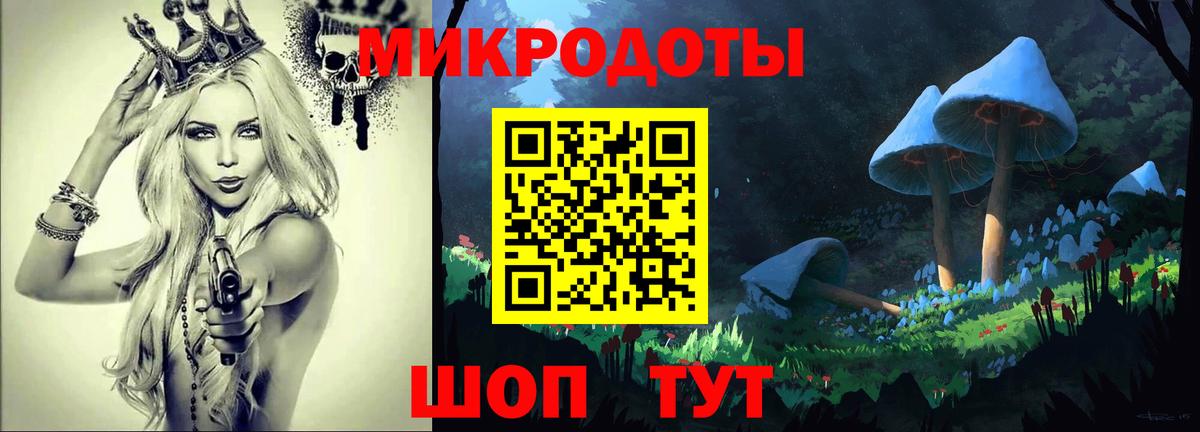 Хасавюрт  Галлюциногенные грибы Cubensis  Вход с VPN 